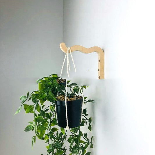 Indoor Plant Wall Hook