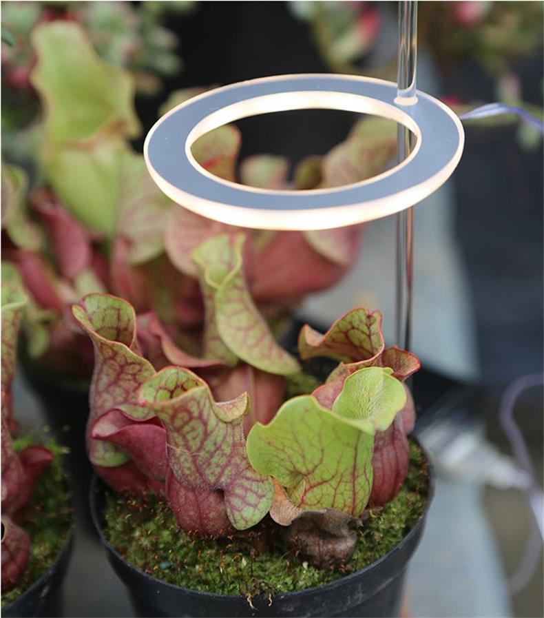 LED Grow Light Full Spectrum Plant Light