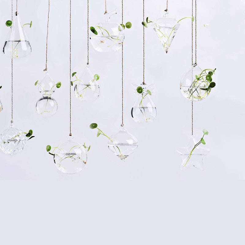 Hanging glass plant vase