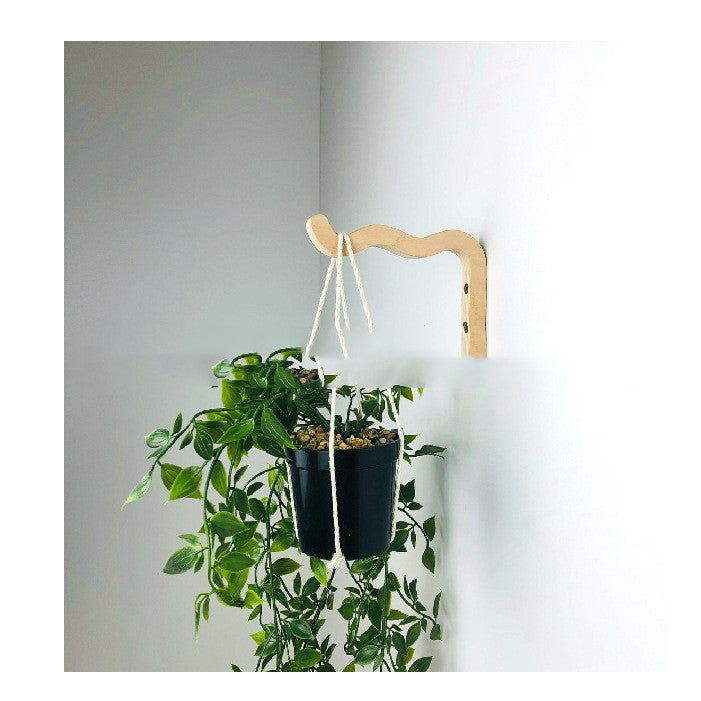 Indoor Plant Wall Hook