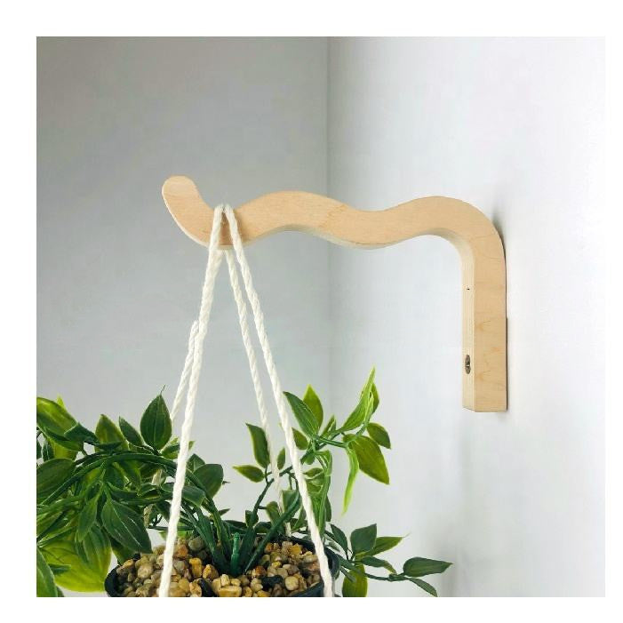 Indoor Plant Wall Hook