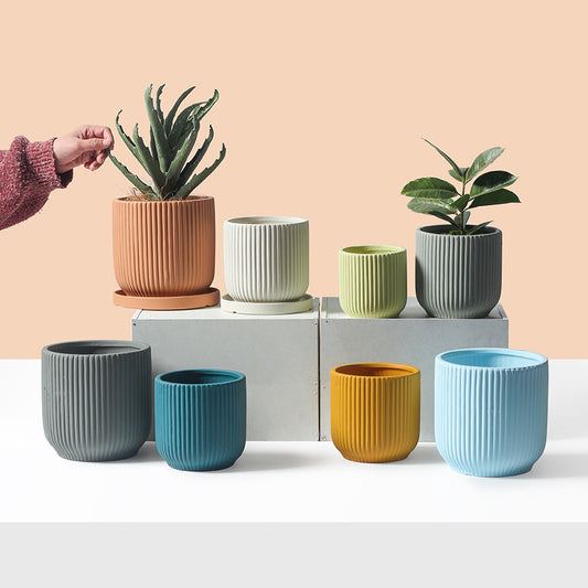 Ceramic Planter